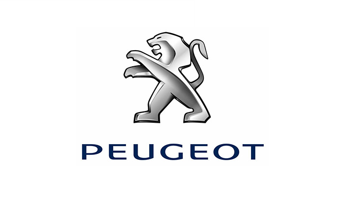 PEUGEOT SERVICE BOX DOCUMENTATION BACKUP 2013